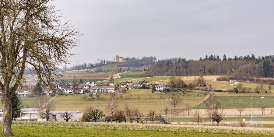 Die Habsburg mit der gleichnamigen Ortschaft (oben) und Scherz im Vordergrund.