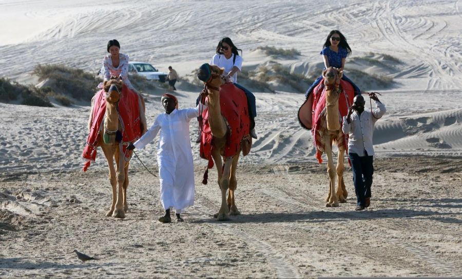 Katar Wüste Kamel Touristen Tour