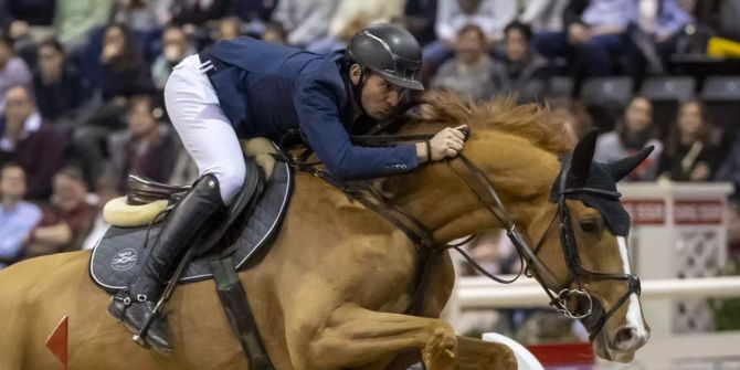 Springreiten