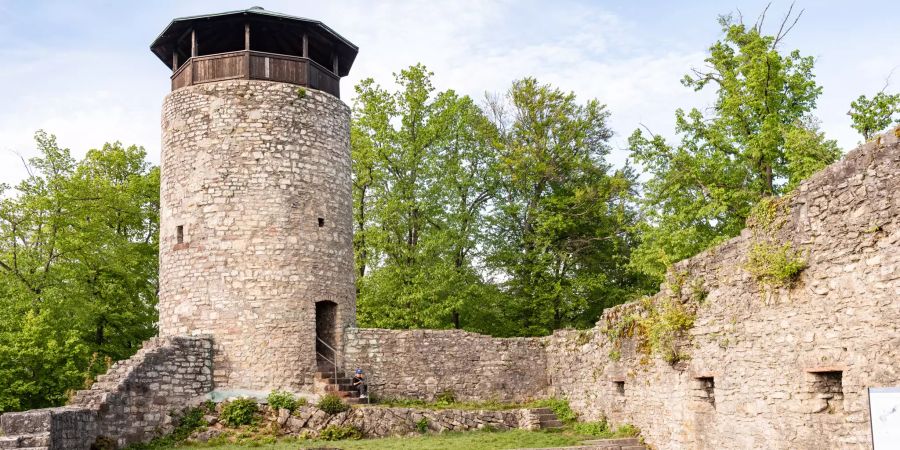 Die Ruinen Wartenberg in Muttenz.