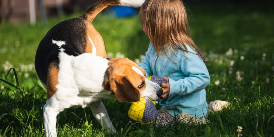 Mädchen spielt mit Hund