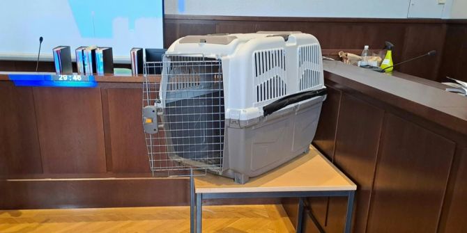 Hundebox Gericht Prozess Krems