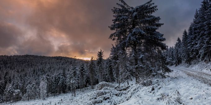 Märchenhafter Anblick: schneebedeckte Bäume im Schwarzwald, dazu der Sonnenuntergang. Schwarzwald, Winter, Deutschland
