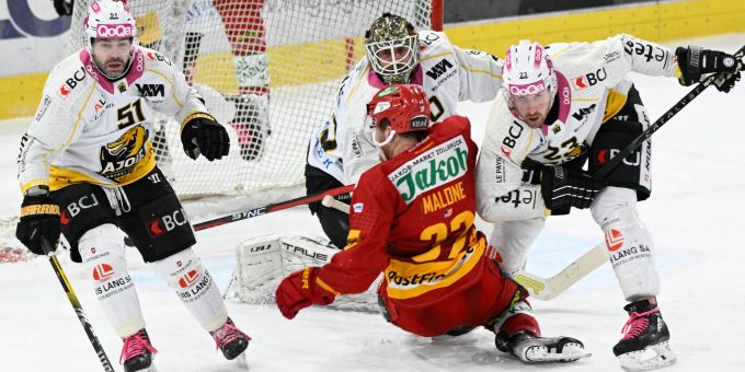 Die SCL Tigers feiern einen knappen Heimsieg gegen Ajoie. SCL Tigers HC Ajoie