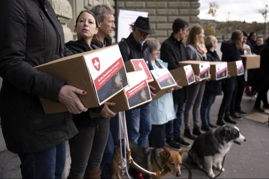 Unterstützer der Initiative für eine Einschränkung von Feuerwerk überreichen die Unterschriften, 3. November 2023. Auch die Tierorganisation «Vier Pfoten» unterstützt das Volksbegehren.