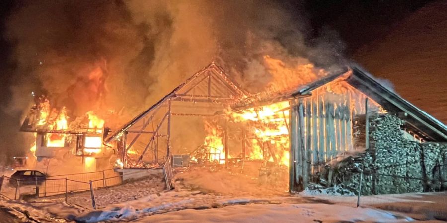 Drei Kinder starben in den Flammen Ende Januar. (Archivbild)