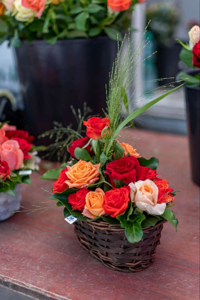 Ein Rosenbouquet auf dem Schlossplatz.