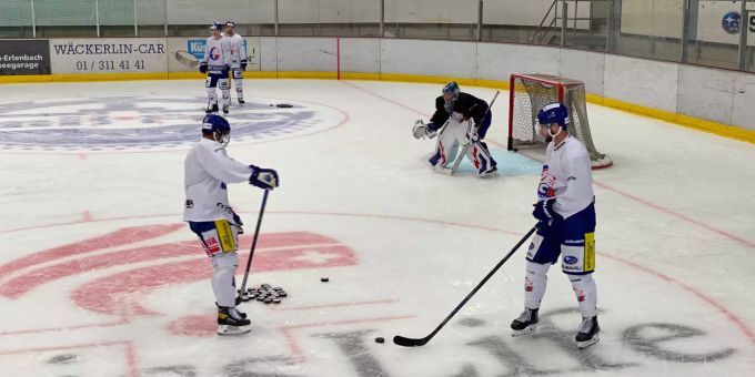 Beim Training in Küsnacht: Die GCK Lions.