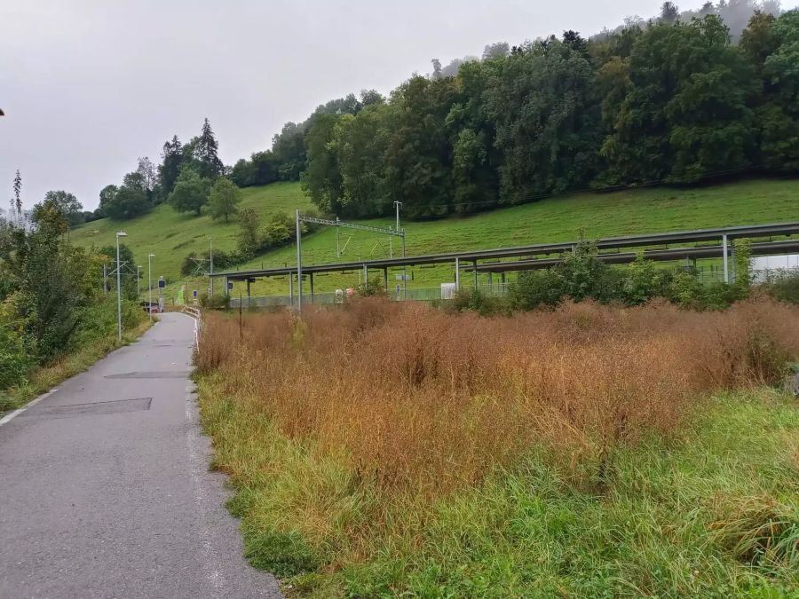 Skatepark Kehrsatz