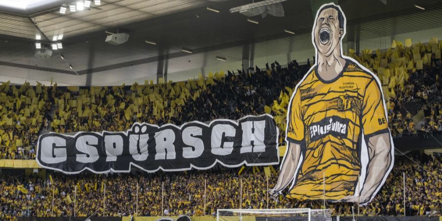 YB Fans Fussball