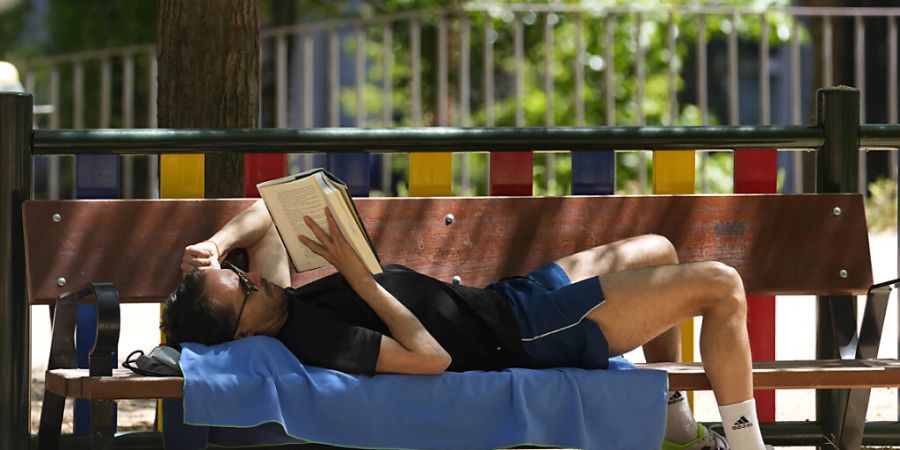 Ein Mann liegt auf einer Bank in Madrid im Schatten und liest ein Buch. Foto: Paul White/AP