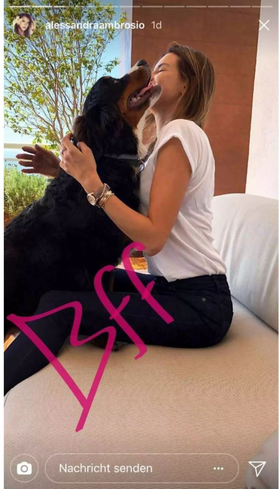 Ein Berner Sennenhund ist der beste Freund von Supermodel Alessandra Ambrosio.