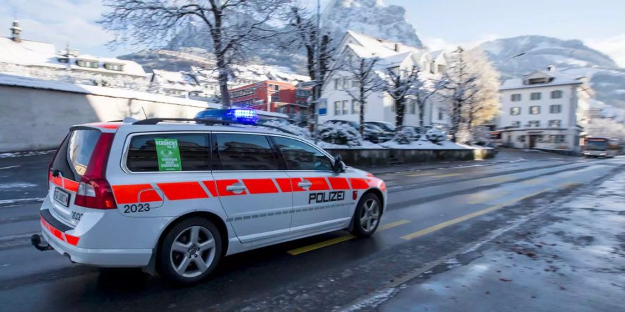 In den frühen Morgenstunden kam es zu einer Selbstkollision, als sich ein Fahrzeuglenker einer Polizeikontrolle entziehen wollte. (Symbolbild)