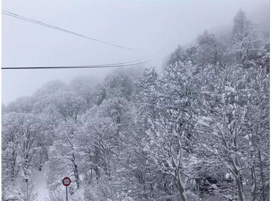 Grund dafür war die grosse Menge Neuschnee und die daraus folgende Lawinengefahr.