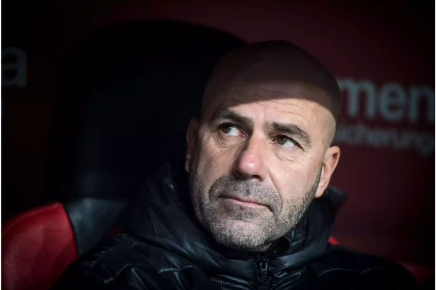 Peter Bosz