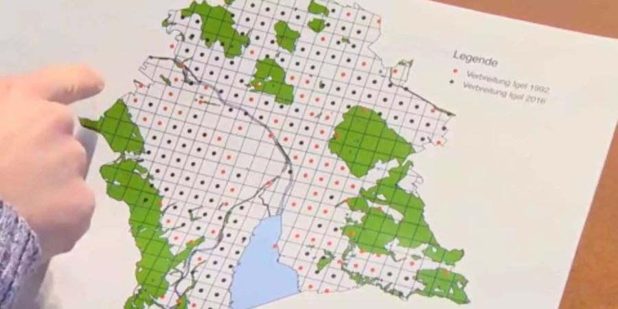 Die Karte zeigt die Igel-Population in der Stadt Zürich.