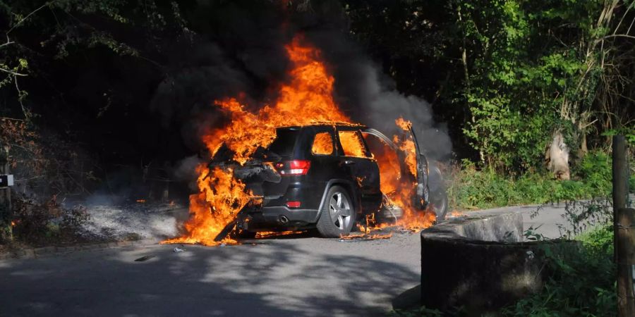 Das Fahrzeug brennt in Waldnähe aus.