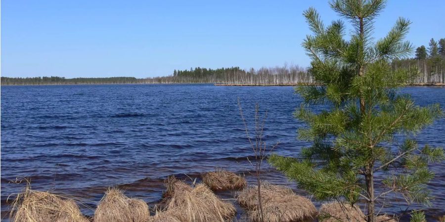 Ein See im Nischni-Gebiet.