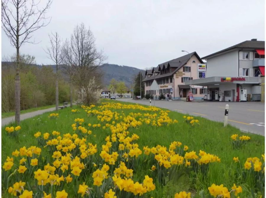 Aarau Rohr im Schwerpunkt der Aarauer Neujahrsblätter 2019 - zvg