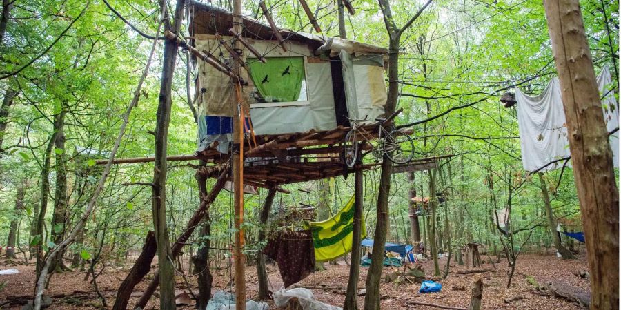 Aktivisten haben ein Baumhaus im Hambacher Forst gebaut. In dem Camp wird gegen die Rodung des Hambacher Forsts für den Braunkohletagebau demonstriert.