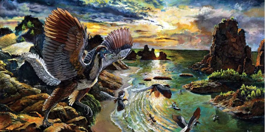 Eine undatierte Rekonstruktion eines Archaeopteryx albersdoerferi durch Zhao Chuang unter der Aufsicht von Martin Kundrát.