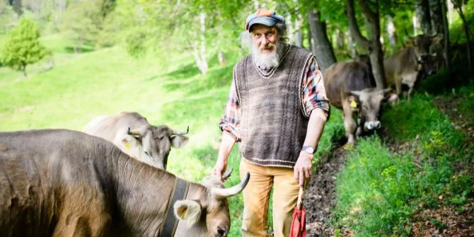 Bergbauer Armin Capaul mit seinen Kühen auf einer Wiese.