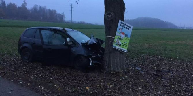 Das Auto kollidierte mit einem Baum.