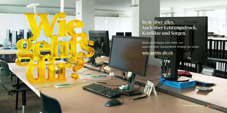 Ein Plakat zur Kampagne «Wie geht's Dir?».