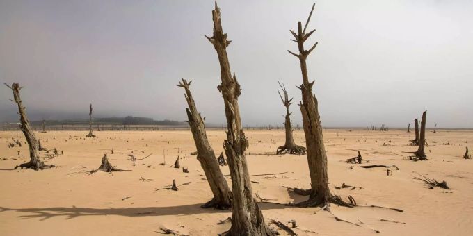 Jahrhundert-Dürre - Kapstadt geht das Wasser aus