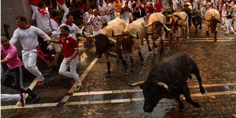 Die Stierhatz in Pamplona zieht jedes Jahr zahlreiche Menschen nach Spanien.