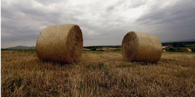 In Amlikon TG, a woman was lost when they stacked Heuballen (Symbolbild).