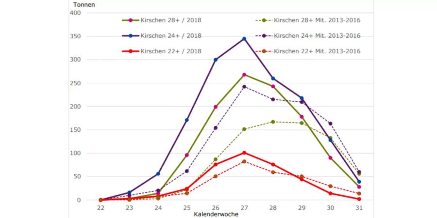 Die Erntemengen erreichen übernächste Woche ihren Höhepunkt. Die Vorjahre liegen deutlich darunter (gestrichelte Linien).