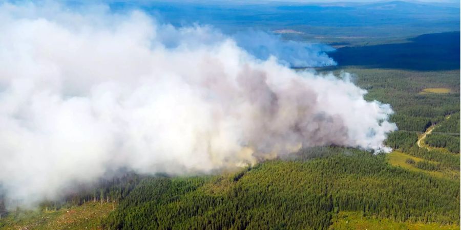 Einzig Hoffnung der Schweden zur Lösung des Waldbrandproblems: ein Wetterumschwung.