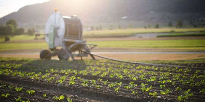 Landwirtschaft