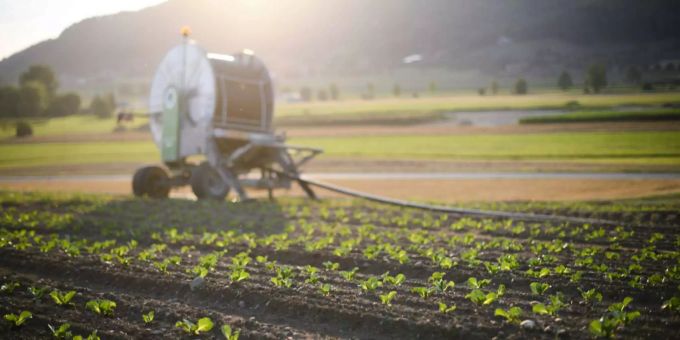Wegen der Trockenperiode in der Schweizer muss ein Feld künstlich bewässert werden. Wegen der Trockenperiode in der Schweizer muss ein Feld künstlich bewässert werden.