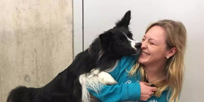 Internationales Dogdance Turnier in Winterthur ZH - «Hundehalterin und Tier nehmen es cool»