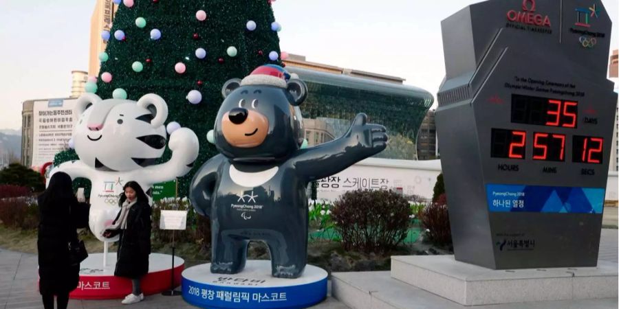 Süd- und Nordkorea wollen an den Olympischen Winterspielen zusammenarbeiten.