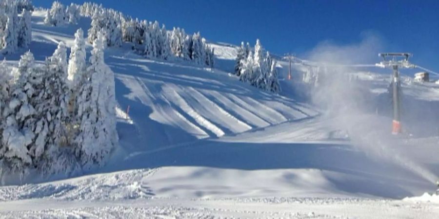 Die Pizolbahnen betreiben im Skigebiet Pizol 11 Anlagen, zwei Gondelbahnen, vier Sessel- und vier Schlepplifte und ein Förderband.