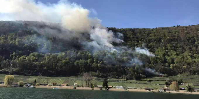 La Neuveville BE - Räumfeuer verursachte Waldbrand
