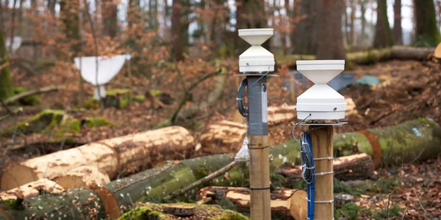 Regenmesser erfassen automatisiert die Menge an Niederschlägen.