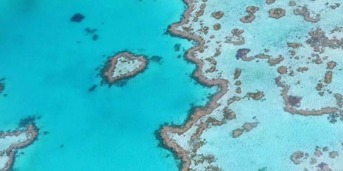 Eine Halbe Milliarde Zur Rettung Des Great Barrier Reefs