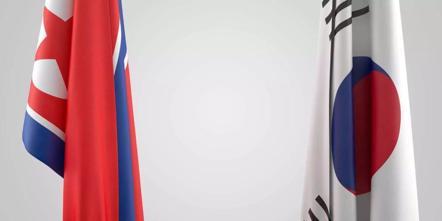 Süd- und Nordkorea haben sich vor ein paar Tagen auf ein baldiges Gipfeltreffen zwischen beiden Ländern geeinigt.