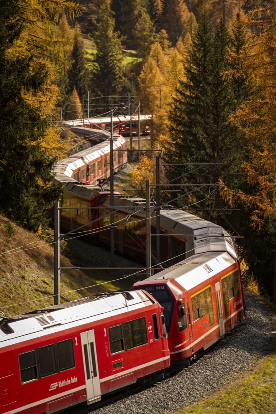 Der RhB-Rekordzug schlängelt sich den Gleisen entlang.