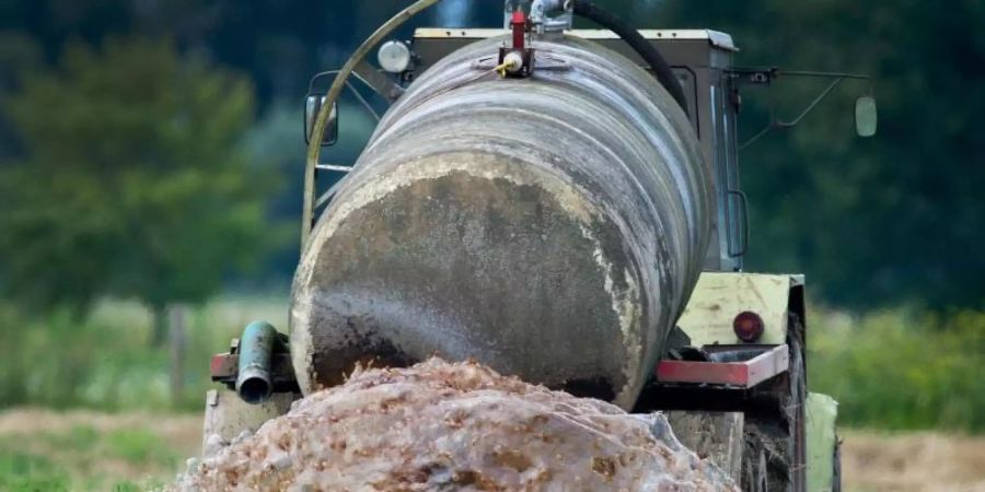 Beim Schutz des Grundwassers vor zu viel Dünger und Nitrat verstösst Deutschland nach Ansicht der EU-Kommission noch immer gegen EU-Recht. Foto: Patrick Pleul