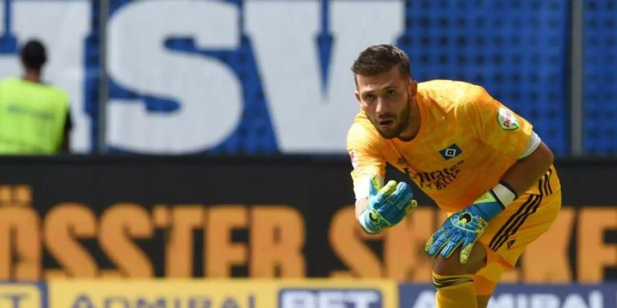 Neue Nummer eins beim HSV: Daniel Heuer Fernandes. Foto: Carmen Jaspersen