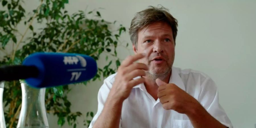 Grünen-Chef Robert Habeck