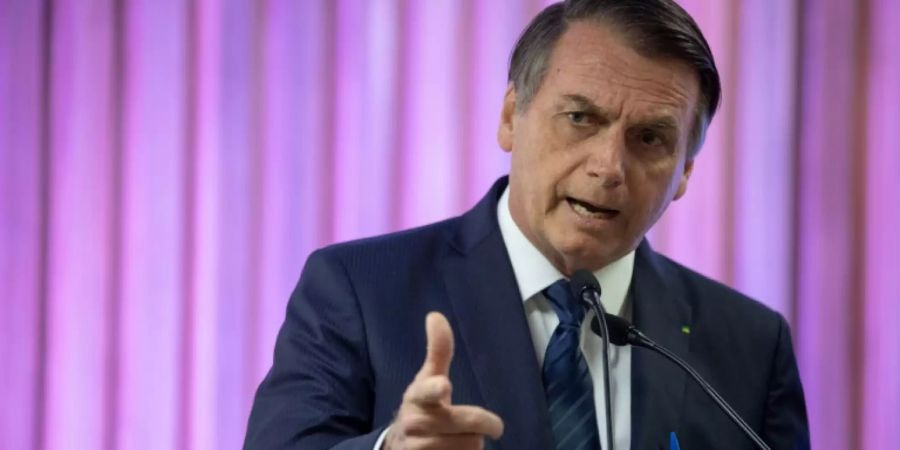 Jair Bolsonaro Holz Stämme