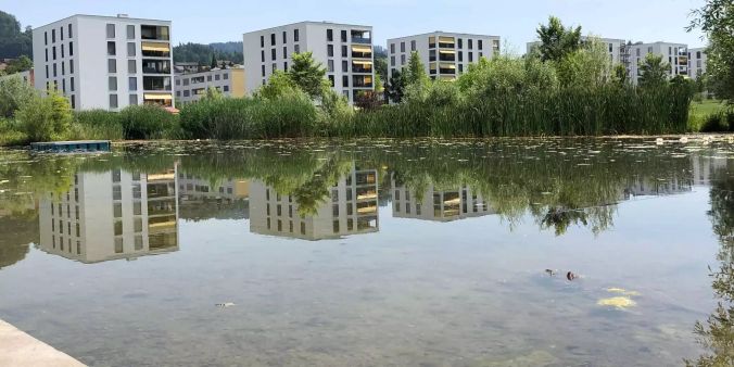Grosser Teich Liebefeld Park