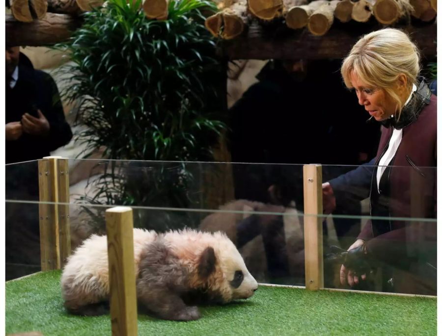 Hier besucht Brigitte Macron den kleinen Panda.