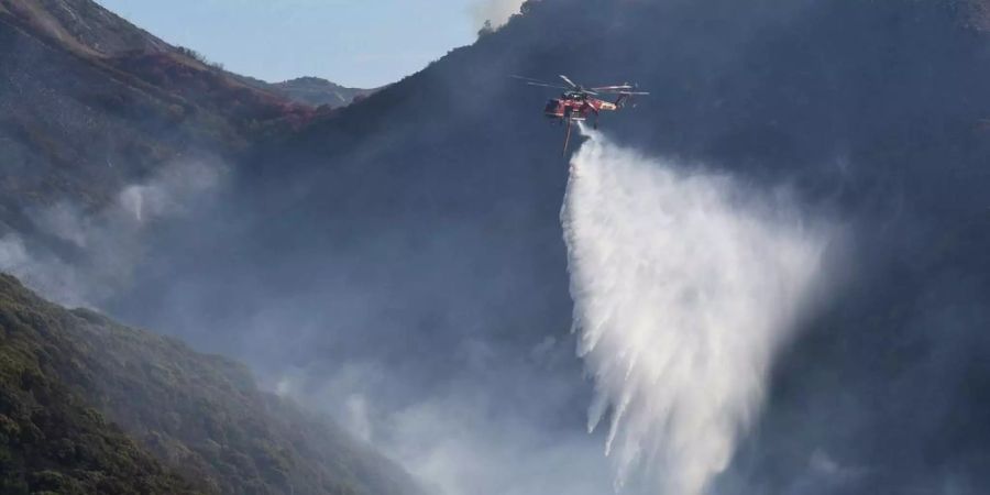 Derzeit kämpften 665 Feuerwehrleute gegen die Flammen.